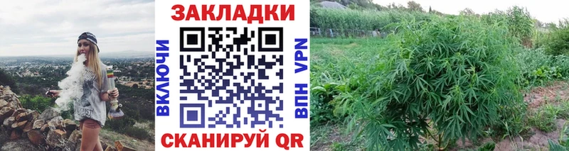 Продажа наркотиков Троицк APVP  Мефедрон  АМФЕТАМИН  Кодеин  Бошки Шишки  COCAIN  ГАШИШ  МЕТАДОН 