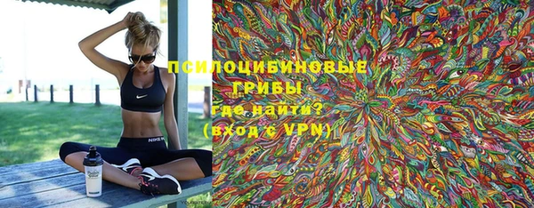 дурь Новозыбков