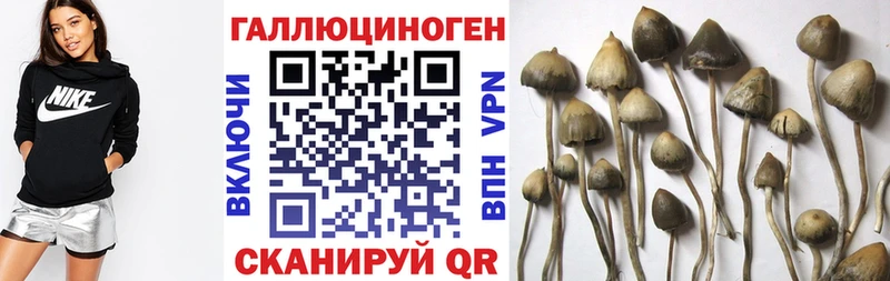 Псилоцибиновые грибы GOLDEN TEACHER  Троицк 